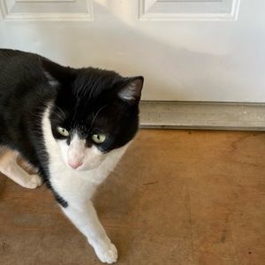 Meet your Posher, Tina